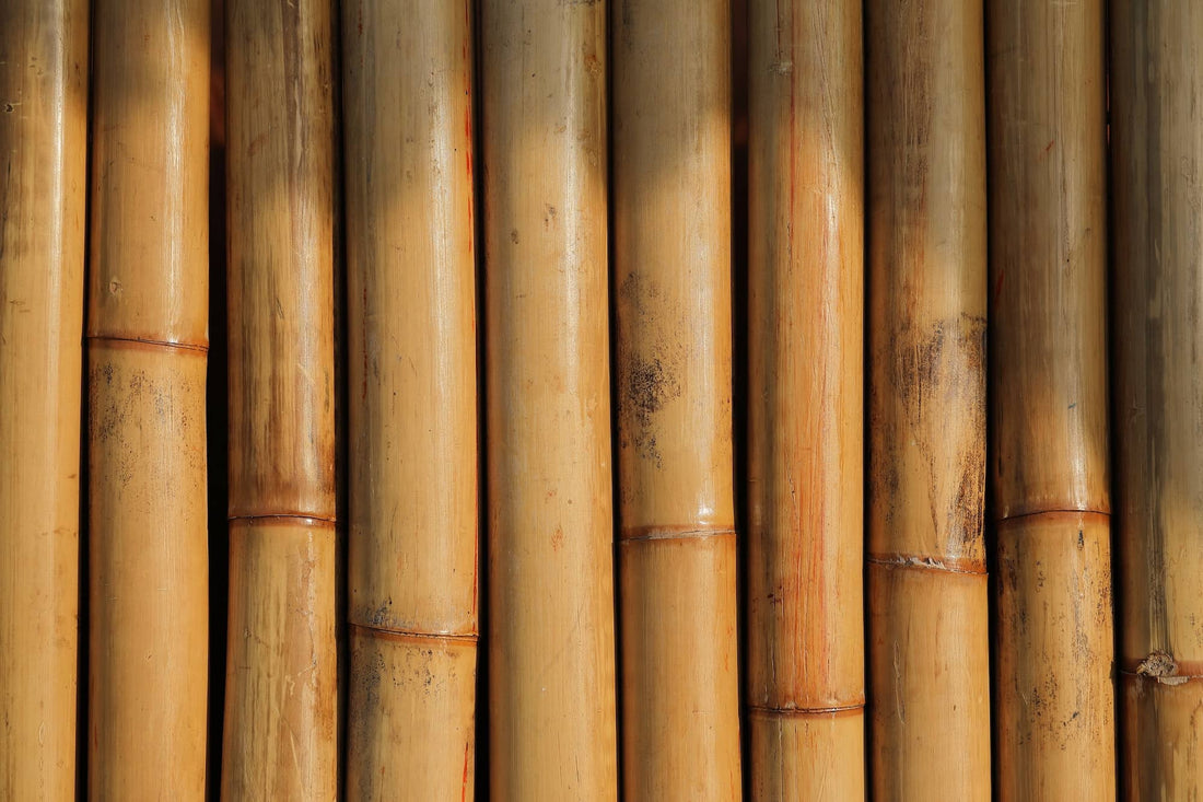 The Powers Of Bamboo